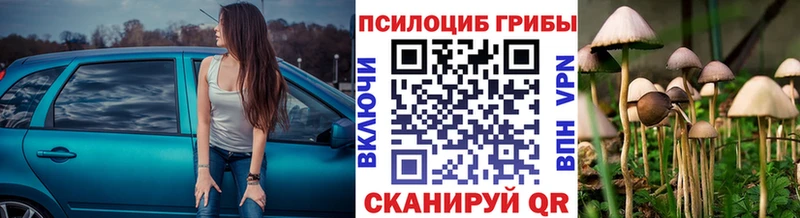 Галлюциногенные грибы прущие грибы  Купить  Воткинск 